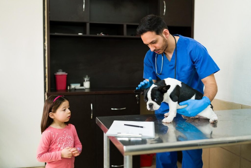 Veterinary clinic new Giza Midtown