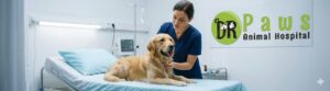 24-Hour Dog Emergency Care